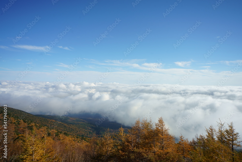 cloudy, and later sunny cloudy, and later sunny