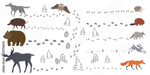 A set of forest animals and their footprints - hare, fox, wild boar, wolf, bear, elk, hedgehog, beaver and raccoon Fototapet