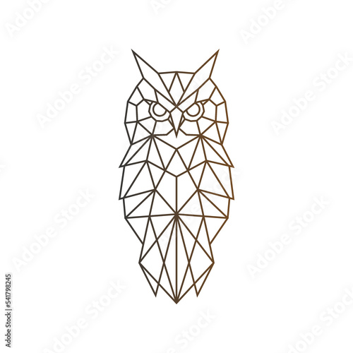 owl logo geometric line art modern symbol icon vector design illustration photo