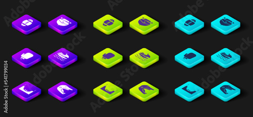 Set Skate park, Motocross motorcycle helmet, Boxing glove, Jet ski, Speedboat and Rugby ball icon. Vector