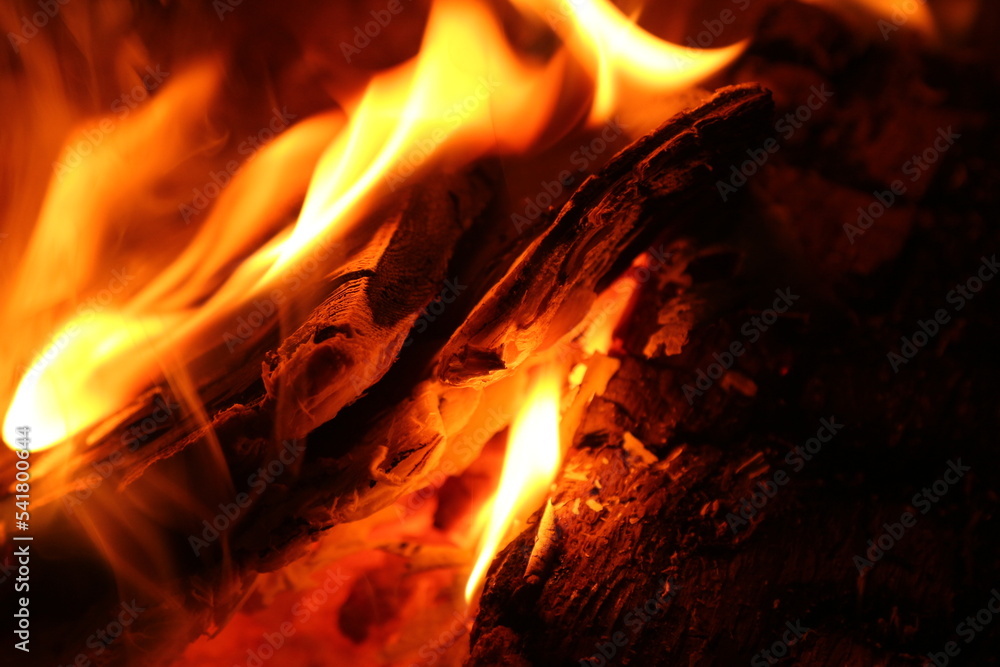 Heart of the Fire Heart of the Fire