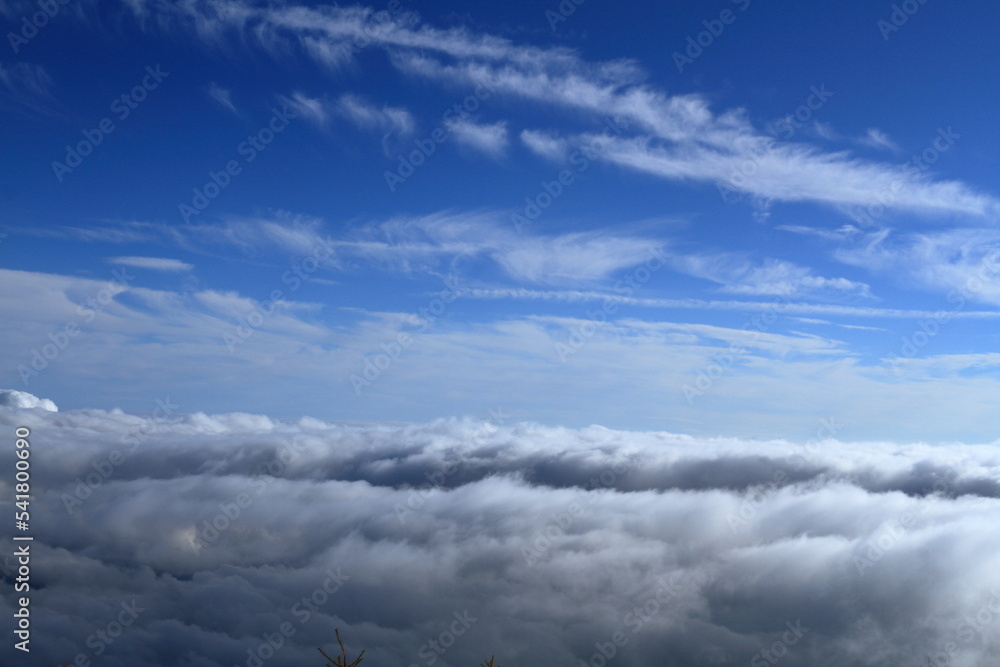 Fototapeta premium cloudy, and later sunny