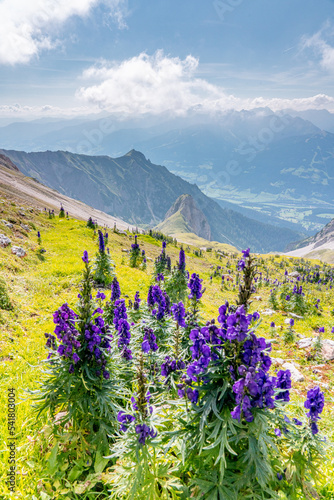 Alpenwanderung