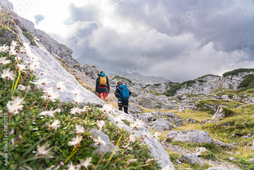 Alpenwanderung