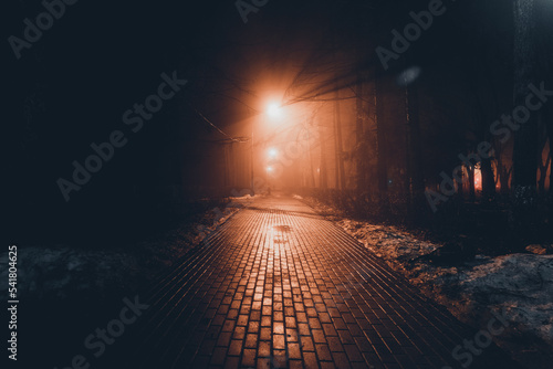 Fototapeta Naklejka Na Ścianę i Meble -  City park at night in fog