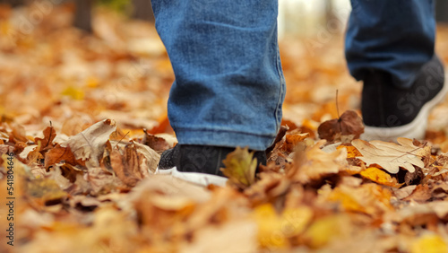 Male legs in black sneakers and jeans walk on ground covered with yellow dry leaves. Man walks in autumn park on blurred background closeup