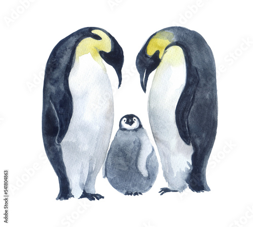 Watercolor cute penguins on the white background. Winter illustrations. Penguin with baby penguins