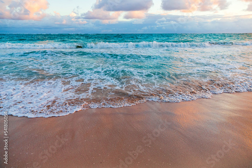 Fototapeta Naklejka Na Ścianę i Meble -  Coastal Caribbean landscape with shore waves and wet sand