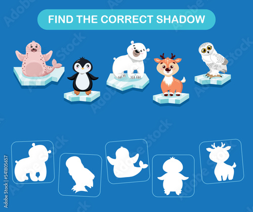 Animals of the Arctic. Bear, deer, owl, narwhal, penguin, walrus, wolf, seal.