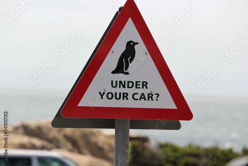 Canvas Print sign on the parking lot penguin under your car
