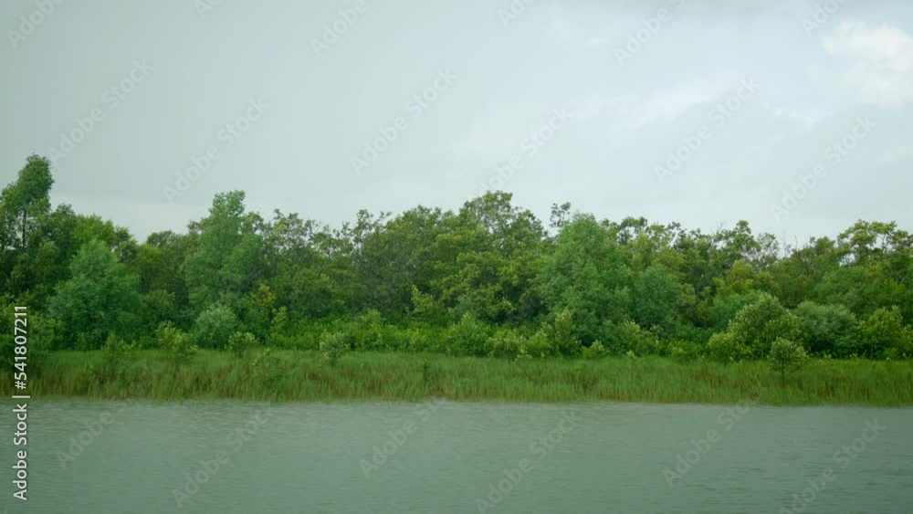 Rainy day of a mangrove forest in slow motion & Boat crossing in the river Rainy day of a mangrove forest in slow motion & Boat crossing in the river