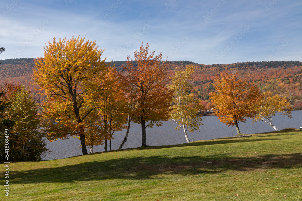 Treeline along Lake Elmore shore, Vermont, USA