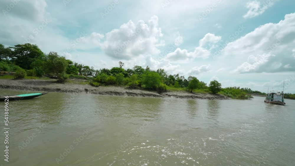 Mangrove forest, trees, river in Sundarbans Mangrove forest, trees, river in Sundarbans