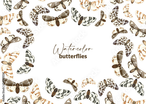 Frame with illustrated brown butterflies. Hand drawn watercolor moth. Design for packaging, label, stationery and greeting card. Flying insects.