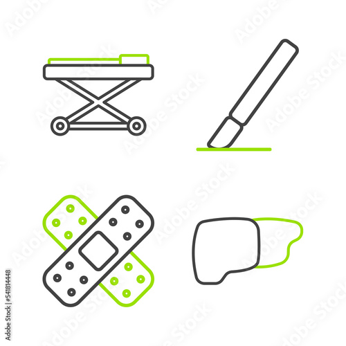 Set line Human organ liver, Crossed bandage plaster, Surgery scalpel and Stretcher icon. Vector