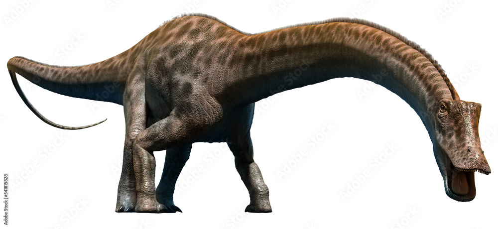 Fototapeta premium Diplodocus from the Jurassic era 3D illustration 