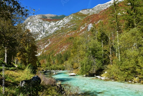 View of Soca river flowing through Trenta valley in Primorska, Slovenia with mountains above covered in red colored autumn forest