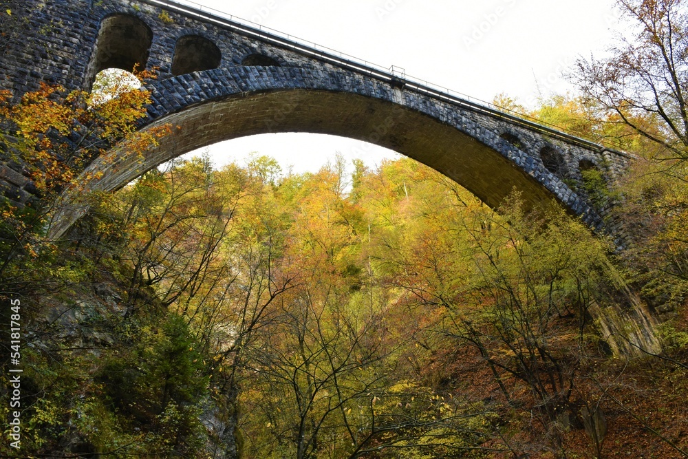 Stone railway bridge across Vintgar gorge near Bled in Gorenjska, Slovenia