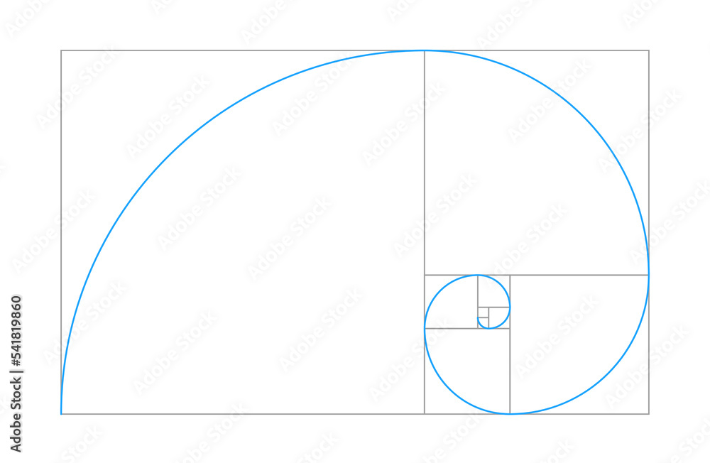 Golden ratio vector spiral shape in fibonacci grid on white background ...