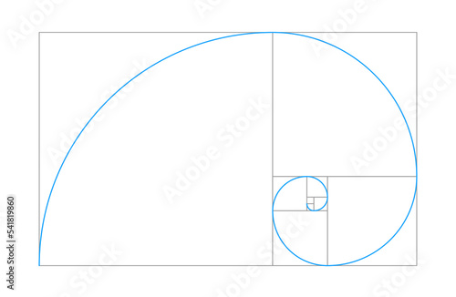 Golden ratio vector spiral shape in fibonacci grid on white background