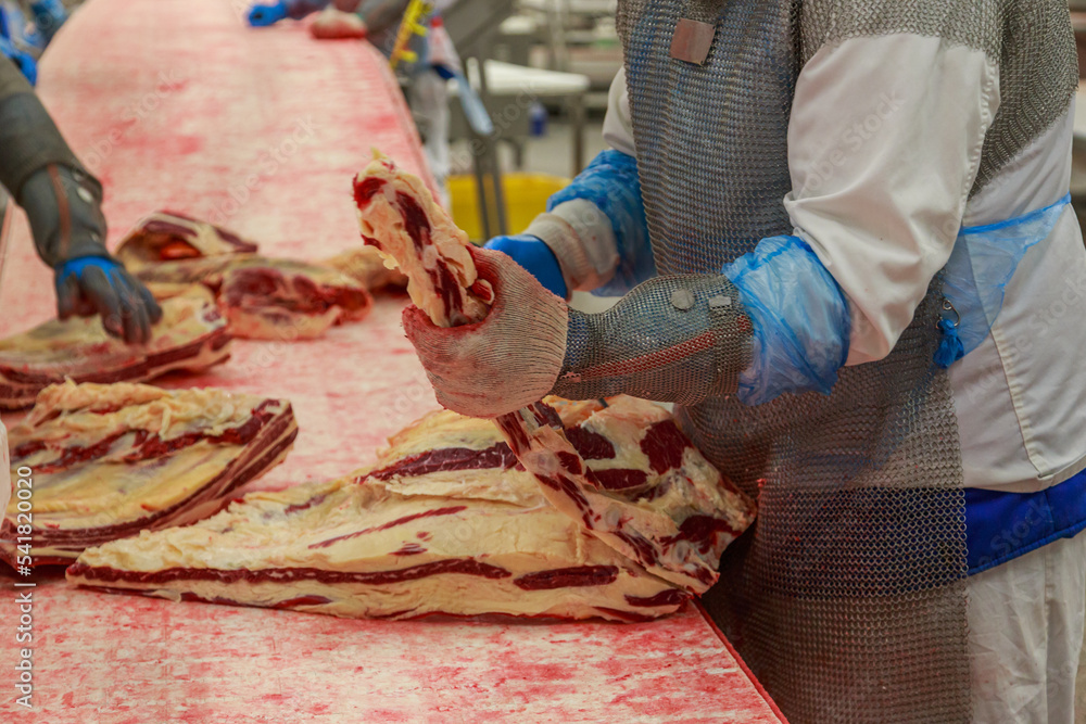 Worker cuts a cow carcass with a knife in deboning hall.