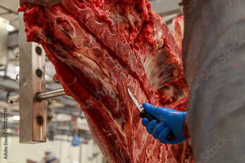 Worker cuts a cow carcass with a knife in deboning hall. photo