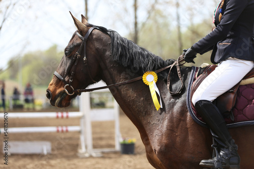  Show jumper horse wearing award winning ribbon. Equestrian sports background © acceptfoto