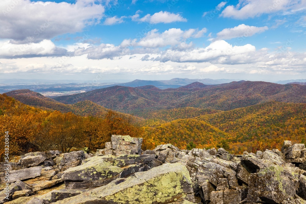 Naklejka premium Shenandoah National Park. Blue Ridge Mountains in the Commonwealth of Virginia