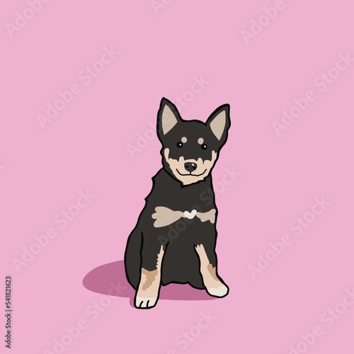 Cartoon inspired pet portrait illustration hand drawn mixed breed Siberian husky puppy dog on solid pink background