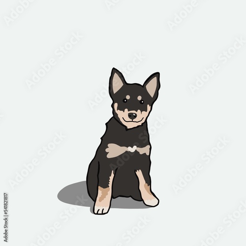 Cartoon inspired pet portrait illustration hand drawn mixed breed Siberian husky puppy dog on solid white neutral background