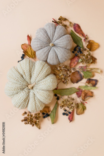 Autumn leaves and knit handmade pumpkin