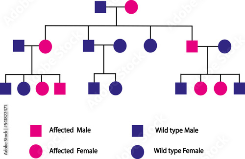 Graphique de synthèse de l'héritage d'un héritage dominant lié au sexe