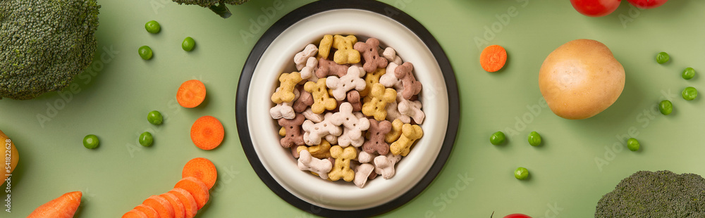 Dry dog vegan vegetarian food concept. Raw vegetables and green near bowl with pet feed Dry dog vegan vegetarian food concept. Raw vegetables and green near bowl with pet feed