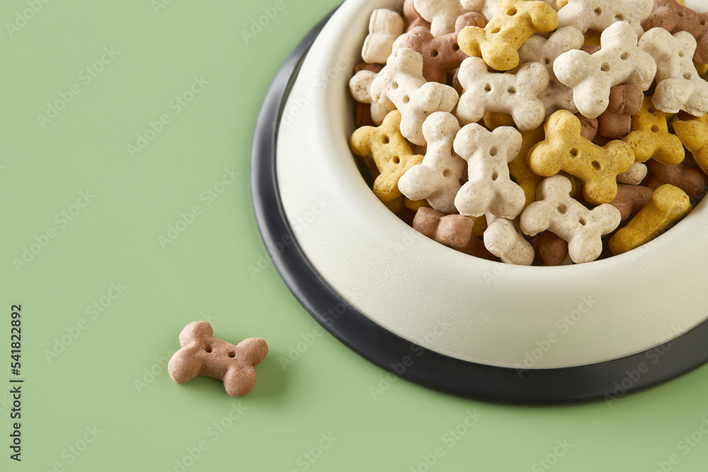 Dry dog food in bowl on green background Dry dog food in bowl on green background