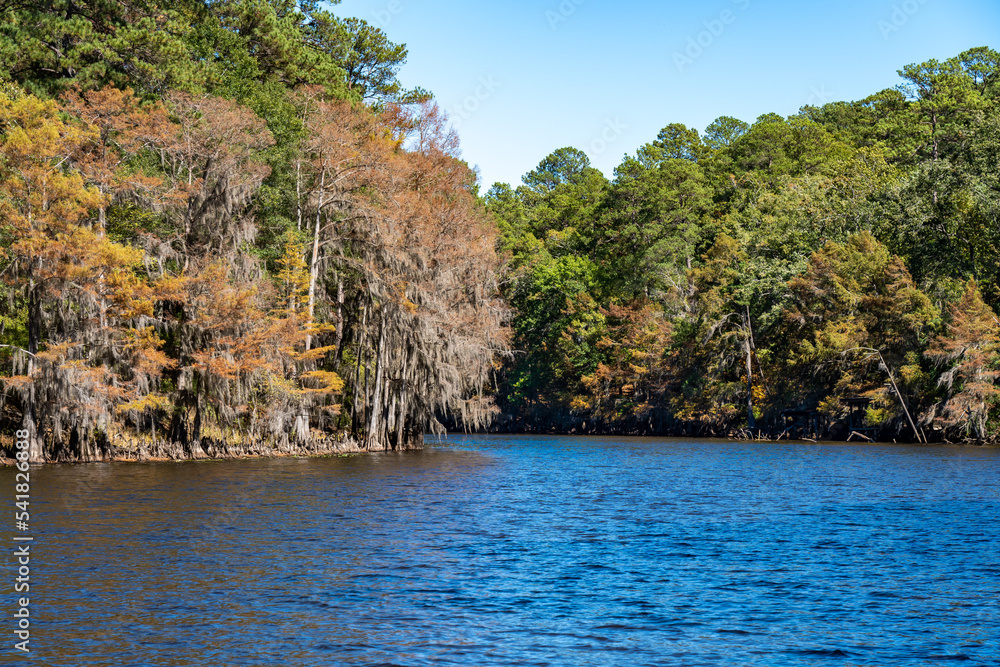 Big Cypress Bayou, Caddo Lake, TX Stock Photo Adobe Stock