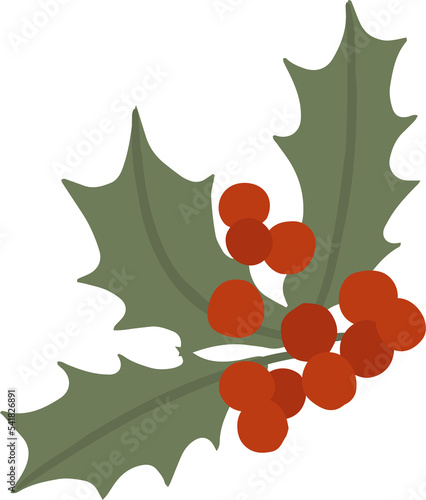 Holly brunch with berries and leaves, png illustration in flat cartoon style. Isolated on transparent background