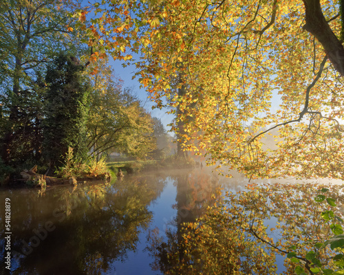 autumn in the park