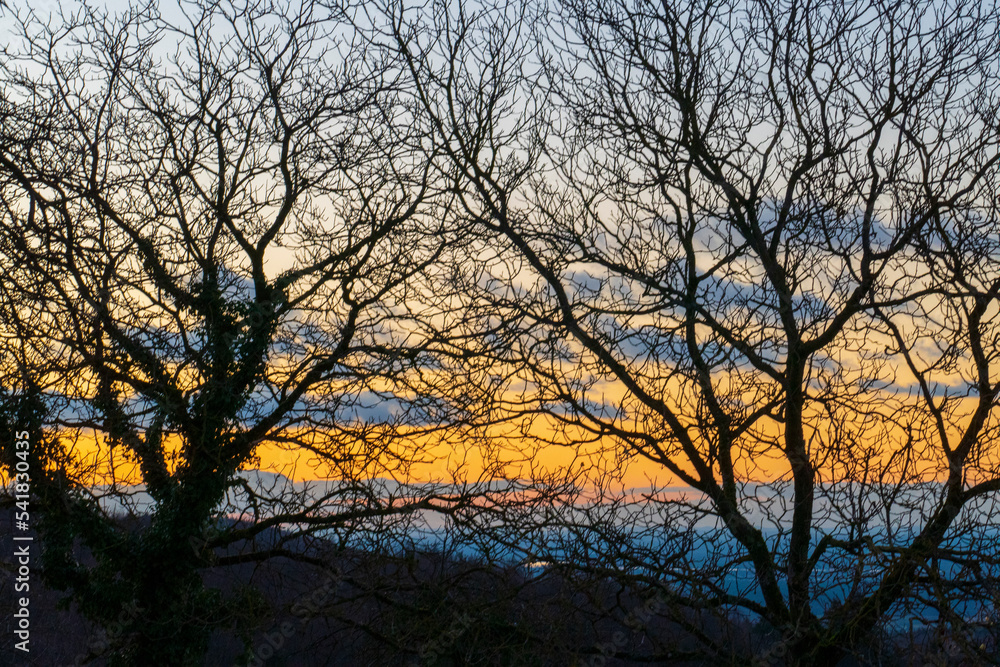 Sonnenuntergang mit Bäumen im Winter in Ebersteinburg Sonnenuntergang mit Bäumen im Winter in Ebersteinburg