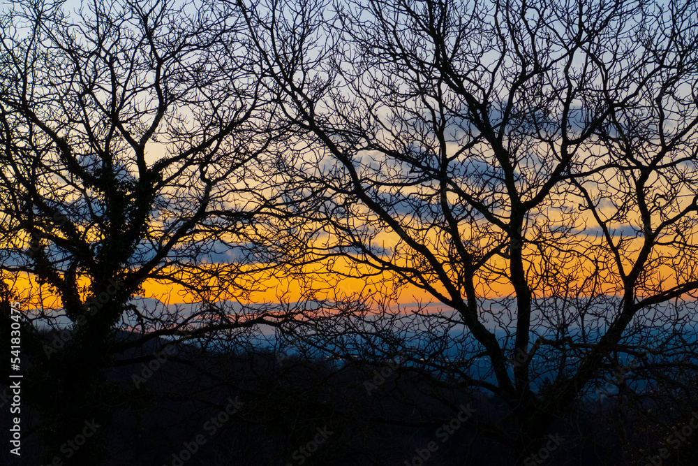 Sonnenuntergang mit Bäumen im Winter in Ebersteinburg