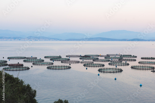 View of sea fish farm cages and fishing nets, farming dorado, sea bream and sea bass, process of feeding the fish a forage, with marine landscape and mountains in the background, Ionian sea, Greece
