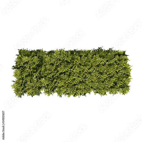 Front view of Plant (rectangular bush 1) Tree png