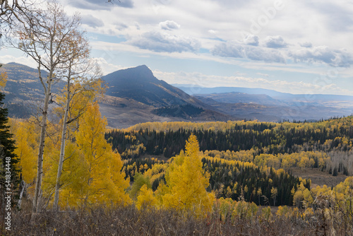 Mt. Whitely and Fall Aspen Colors, Rocky Mountains