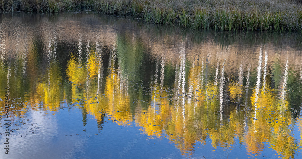 Fall Color Reflection with Aspens, Rocky Mountains