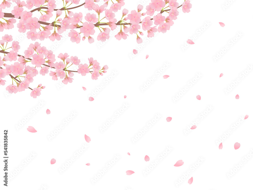 満開の桜_フレーム背景_ベクターイラスト