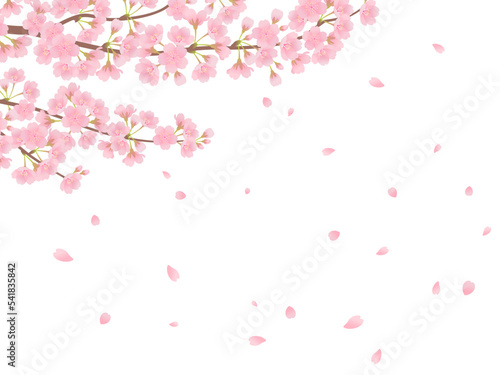 満開の桜_フレーム背景_ベクターイラスト © あ こ