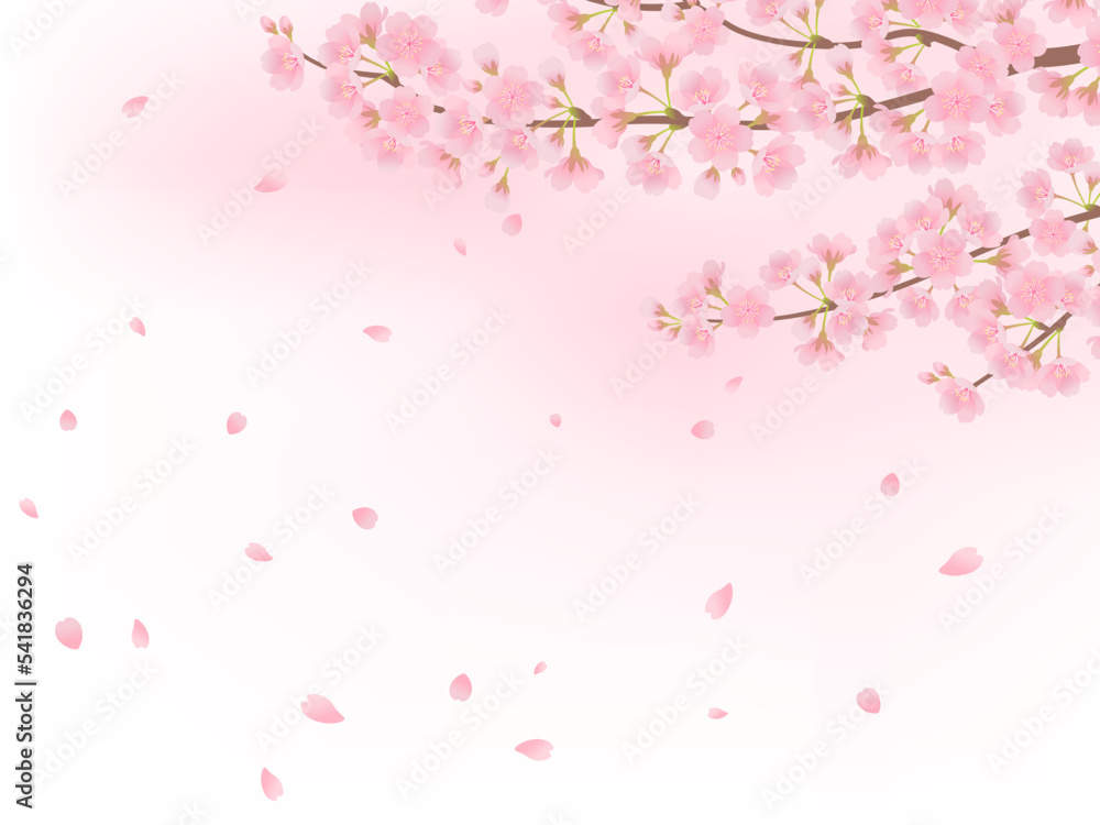 満開の桜_フレーム背景_ベクターイラスト