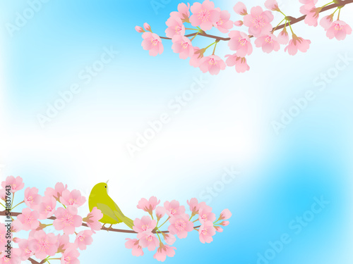 青空に咲く満開の桜とメジロ_フレーム背景_ベクターイラスト © あ こ