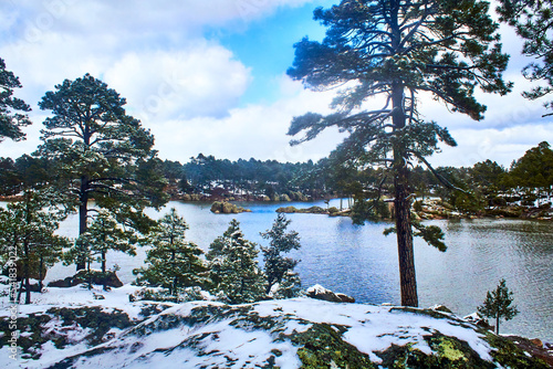 lake on winter with trees covered of snow in arareco lake, creel chihuahua  photo