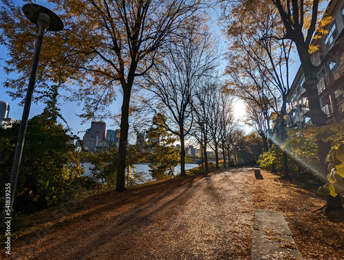autumn in the trail
