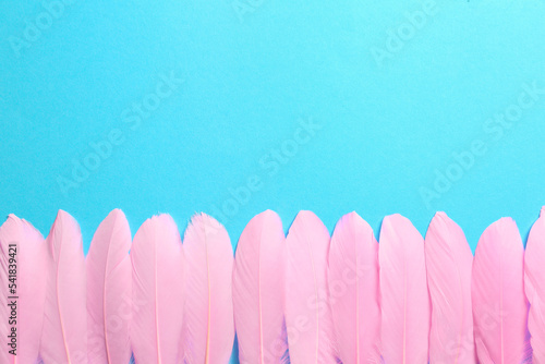 Beautiful pink feathers on light blue background  flat lay. Space for text